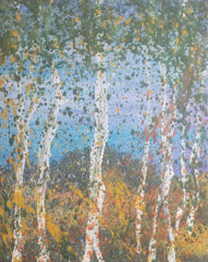 Birch Illusion