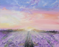 Field of Color